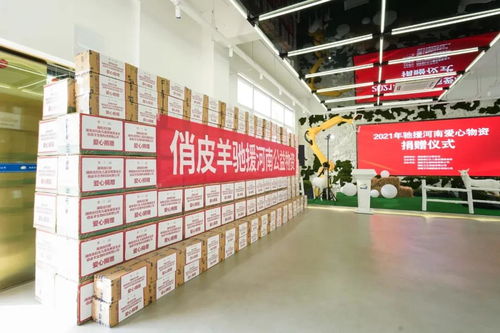 馳援河南，俏皮羊在行動 微光匯聚，風雨同舟